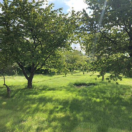 Hof Maerkische Heide Pansiyon Brandenburg  Dış mekan fotoğraf